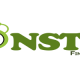 SERP Monsters - Digital Marketing & SEO Company in Indore